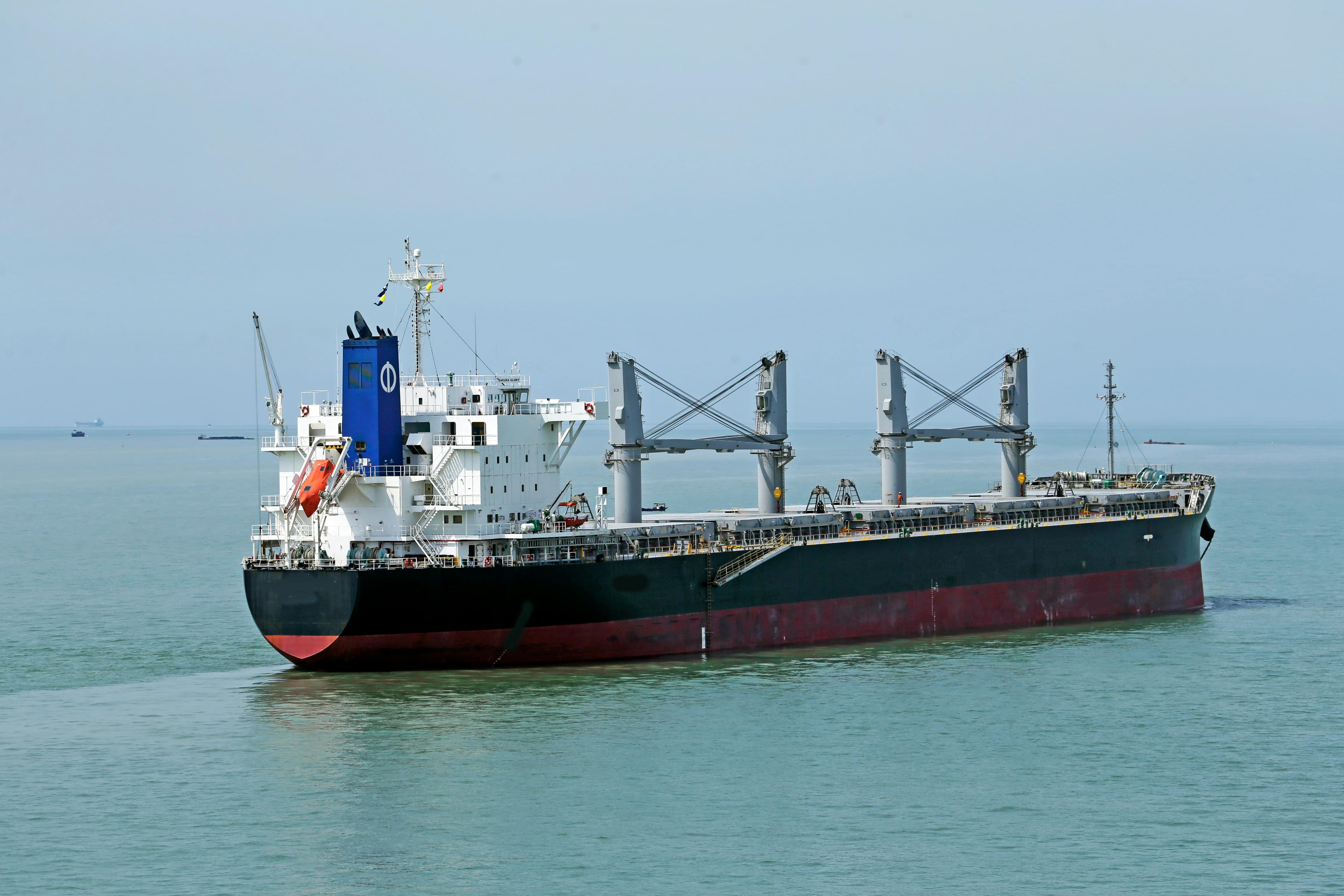 Bulk Carriers