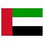 UAE flag